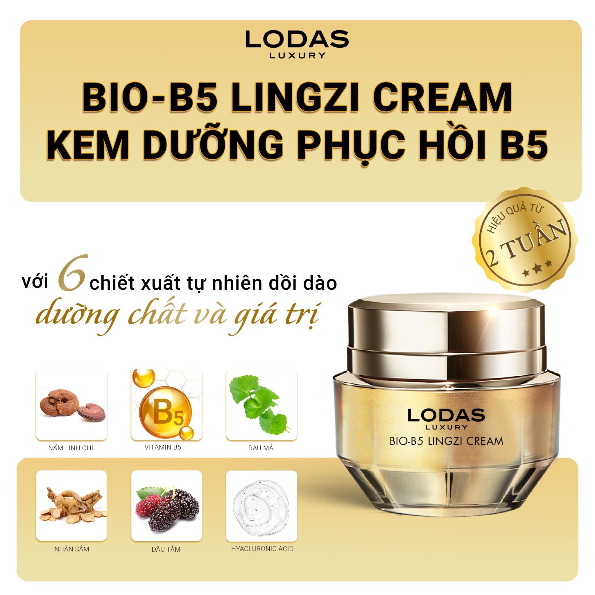 Bio B5 Lingzi Creamface phục hồi